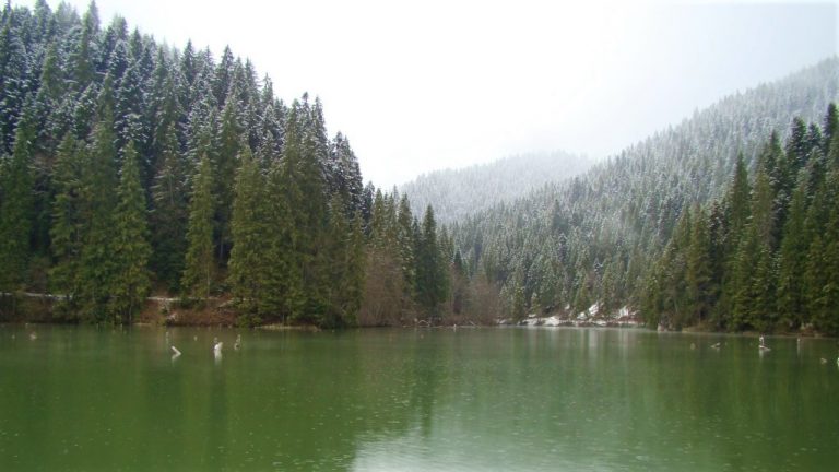 LACUL ROȘU