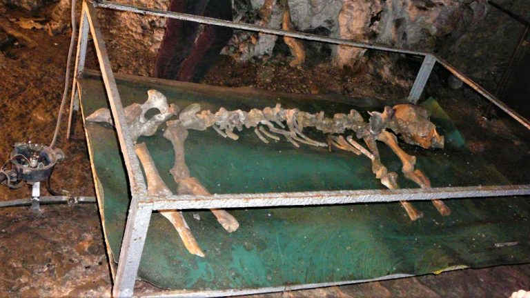 Peștera Muierilor – cea mai vizitată peșteră din România | Ghid 2026