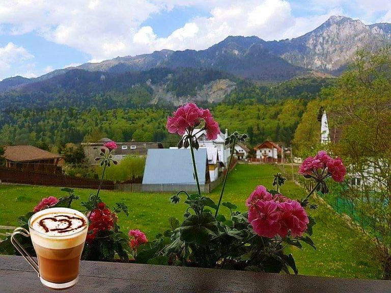 YAEL Apartments – Bușteni