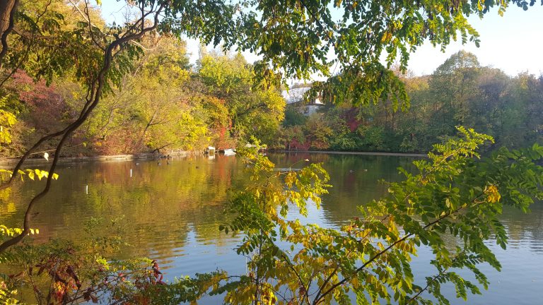 Ce poți face în Parcul Herăstrău din București — Ghid complet 2026