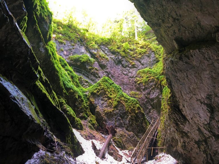 peștera scărișoara