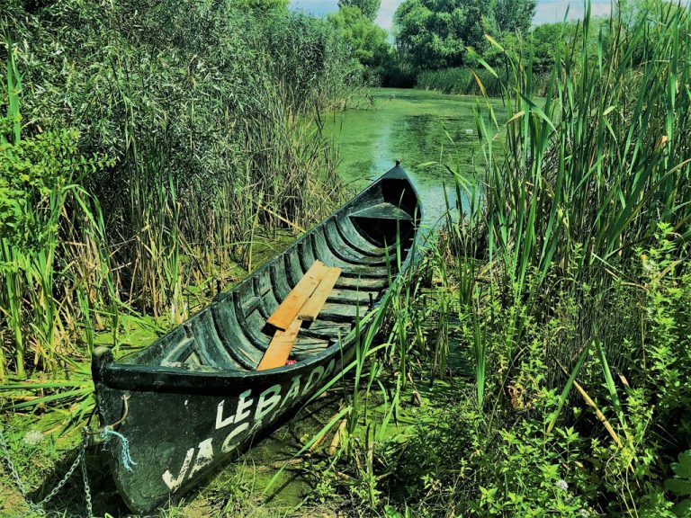 parcul natural văcărești