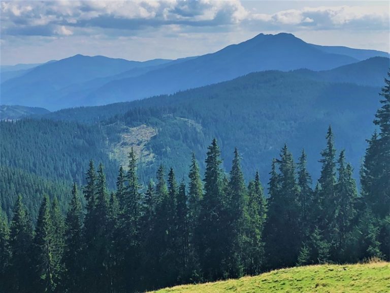 Automulțumirea la români