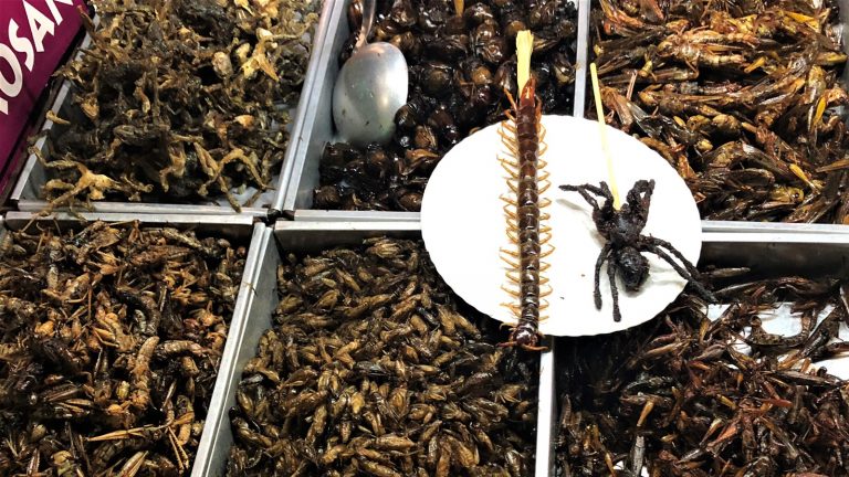 Cele mai mari greșeli pe care să le eviți în Thailanda!