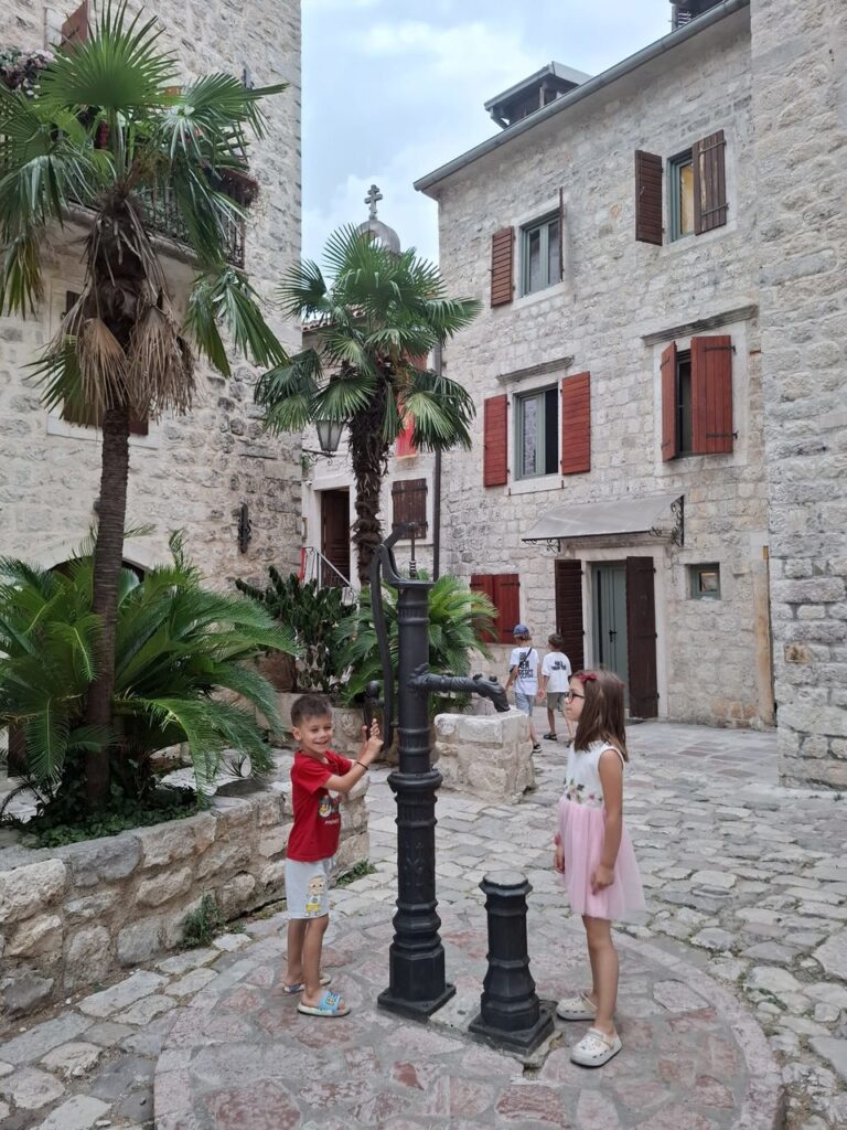 kotor